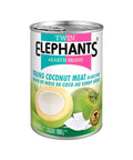 Young Coconut Meat in Syrup (Strips) 425g. (Twin Elephant) - Filipino Grocery Store