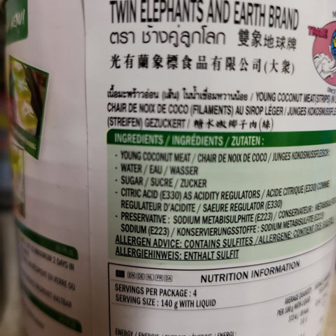 Young Coconut Meat in Syrup (Strips) 565g. (Twin Elephant) - Filipino Grocery Store